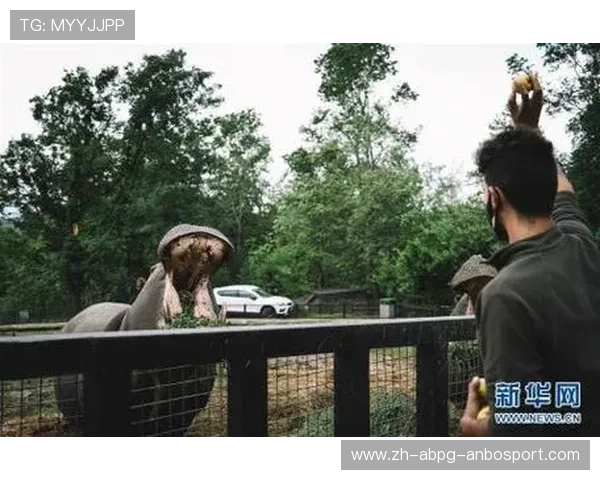 意甲球队动物捐赠活动